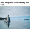 1770580860770.webp