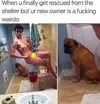 Dog 19.webp Dog 19.webp