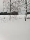 1770646906429.webp