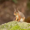 1770749614653.webp