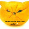 1000035756.webp