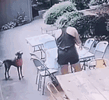Do.gif