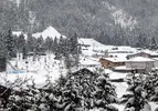 P1070229.webp
