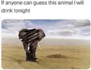 1771692169169.webp