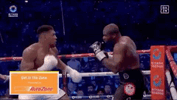 Knockout 01.gif