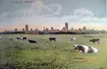 1772108839750.webp