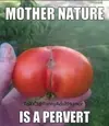1772278565240.webp