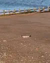 FB_IMG_1772293995240.webp