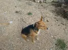 1000075881.webp