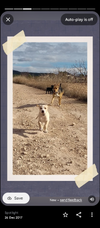 1000083253.webp