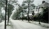 1772891000809.webp