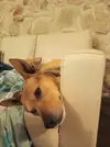1000084593.webp