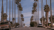 braindonors-brain.gif