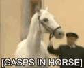 IMG_9438.gif