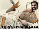 Prada.webp