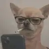 1774360142835.webp
