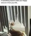 1774781115687.webp