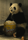 tenor-3784016647.gif