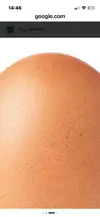 1775310461068.webp