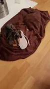 IMG-20170210-WA0020.webp