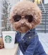 upload_2017-3-2_17-17-48.webp