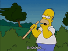 1775336945652.gif