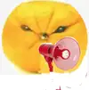 davestar.webp