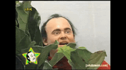 IMG_2530.gif