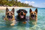 file_000000005ca47243be1814dbd2696d9c.webp