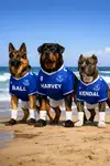 file_00000000b0a47246921eda688dec75a7.webp