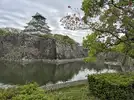 20260413_114536_Original.webp 20260413_114536_Original.webp