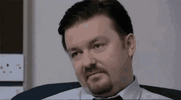 IMG_6255.gif