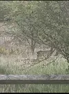 1000020971.webp
