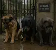 file_000000001980720abb67458d6dfe8b6f.webp