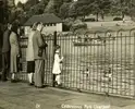 1776685818271.webp