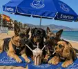 file_00000000f2ec720ab19aff2cdb88a844.webp