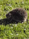20260421_231346.webp