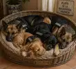 file_00000000d2b87246a4948c31e813db90.webp