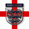 ENG-01.gif