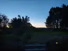 1000002909.webp
