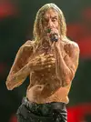 Iggy_Pop_door_Dirk_Annemans_2025_03_(cropped).webp