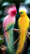 images (19).webp