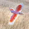 images (18).webp