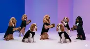 1777413075166.webp