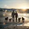 1777414105647.webp