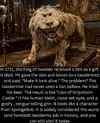 Facts 12 - The King of Sweden - 1731.webp