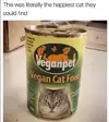 1777640151838.webp