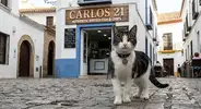 1777724593441.webp