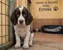 file_0000000053c8720aae42f840dab800df.webp