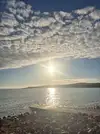 1000049539.webp